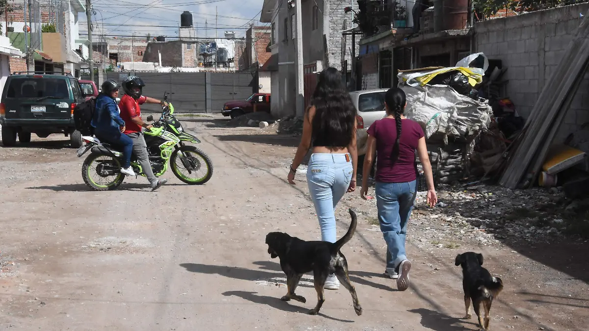 PIDEN PAIMENTAR CALLE JESUS GTZ EL SOL DE IRAPUATO (1)